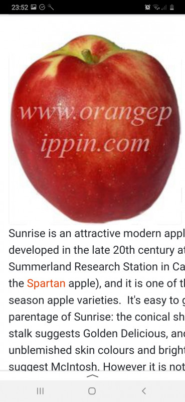 Screenshot_20201004-235201_Yandex.jpg