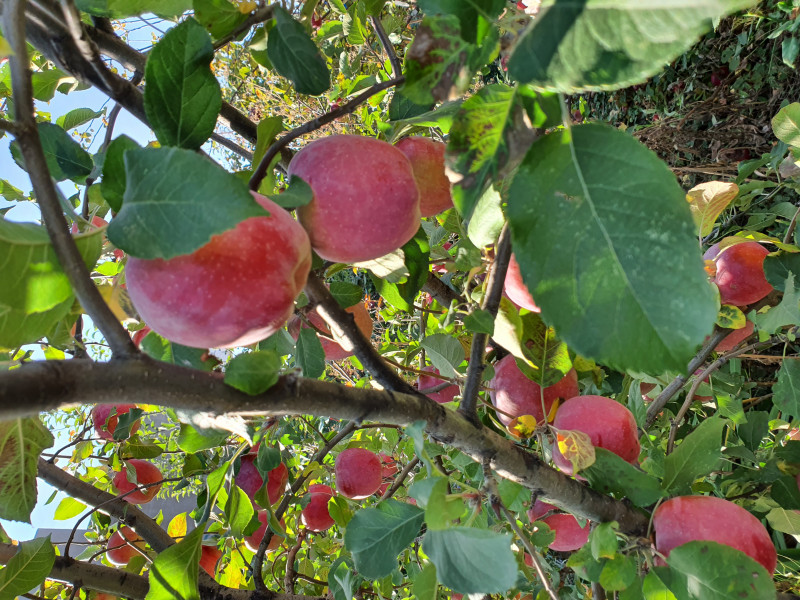 20201005_112258.jpg