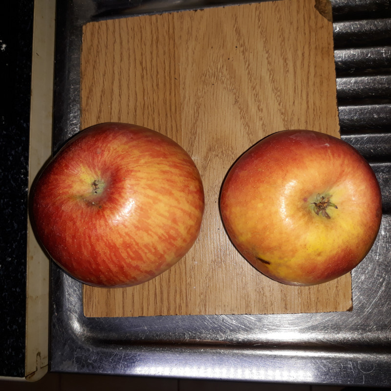 20201001_212744.jpg