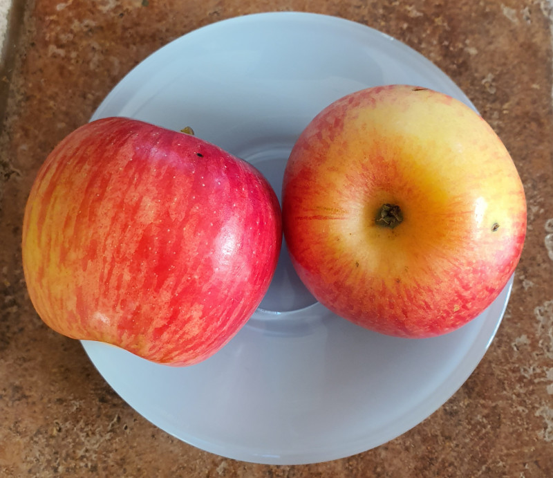 20201005_162315.jpg