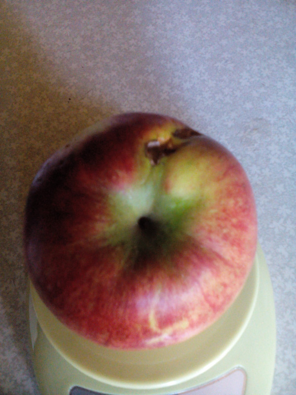 IMG_20201004_142415.jpg