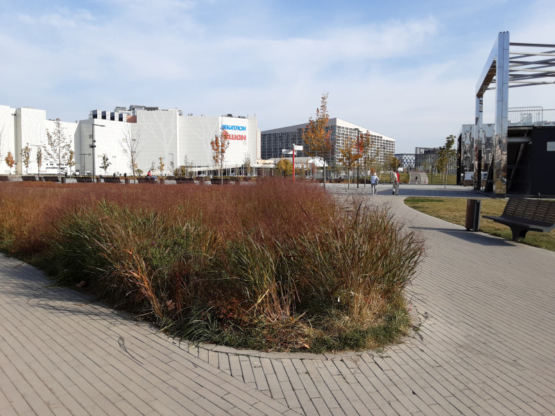 20201006_121411.jpg