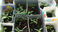 2014-03-24-1246.jpg