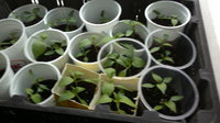 2014-03-24-1245.jpg