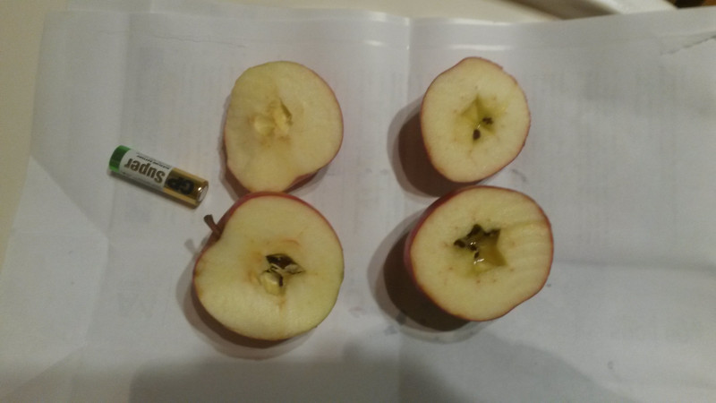 20201008_192944.jpg