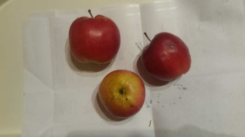 20201008_192702.jpg