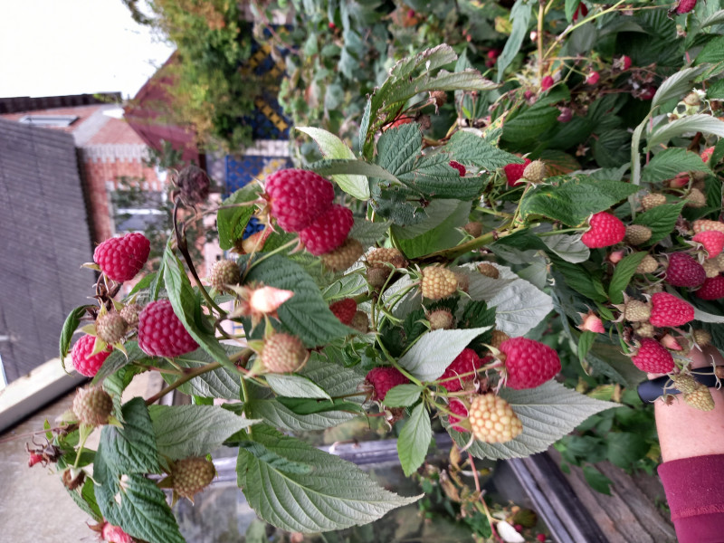 20201008_170923.jpg