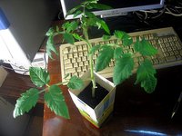 Изображение 008.jpg