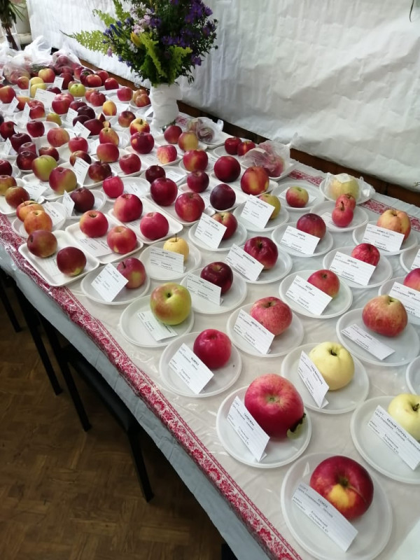 IMG-20190926-WA0000.jpg