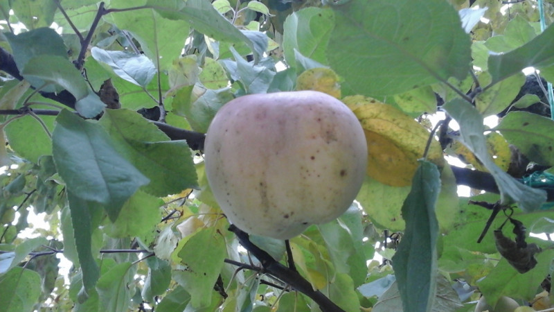 20181013_121514.jpg