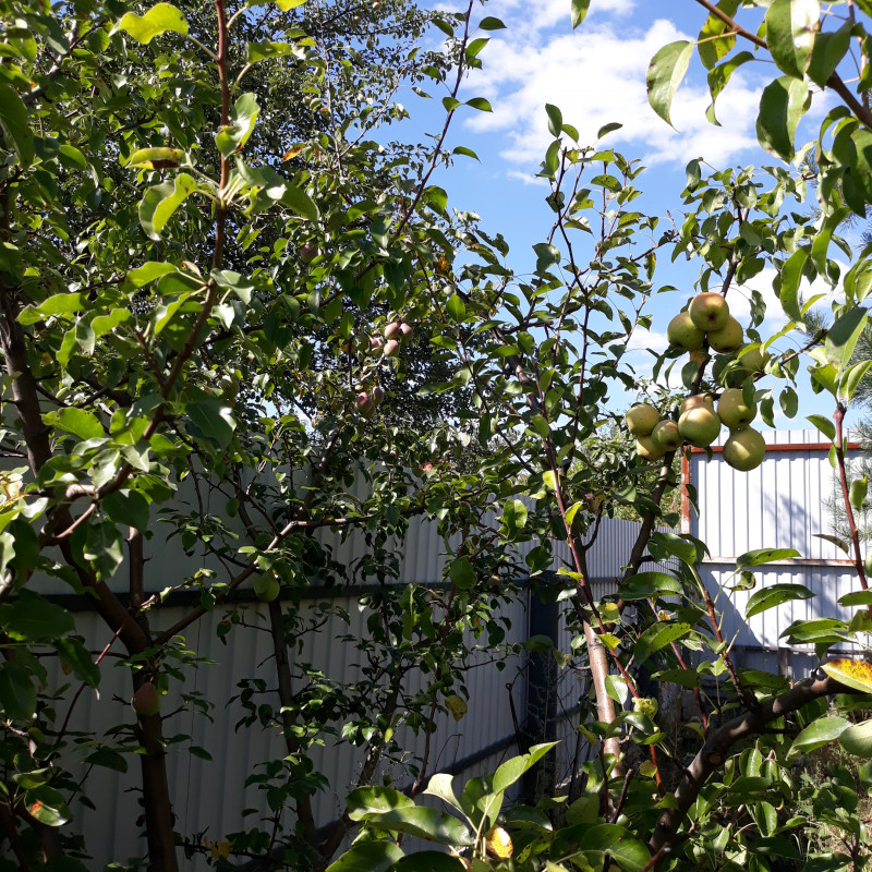 20200823_141331.jpg