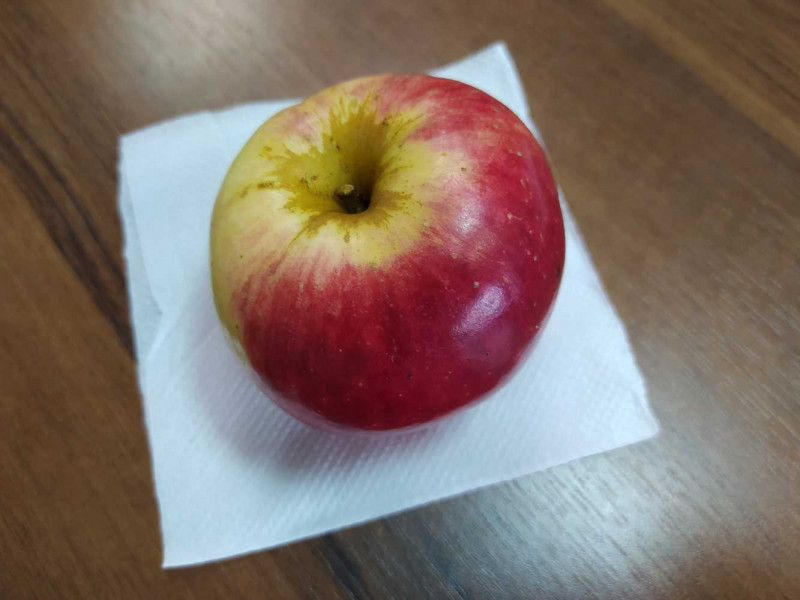 Горец_2020-10-19.jpg