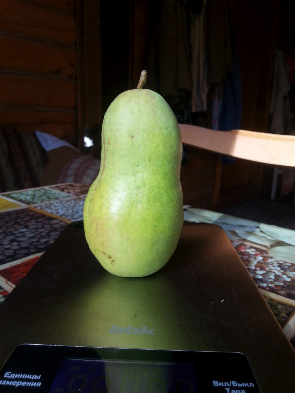 20201004_134651.jpg