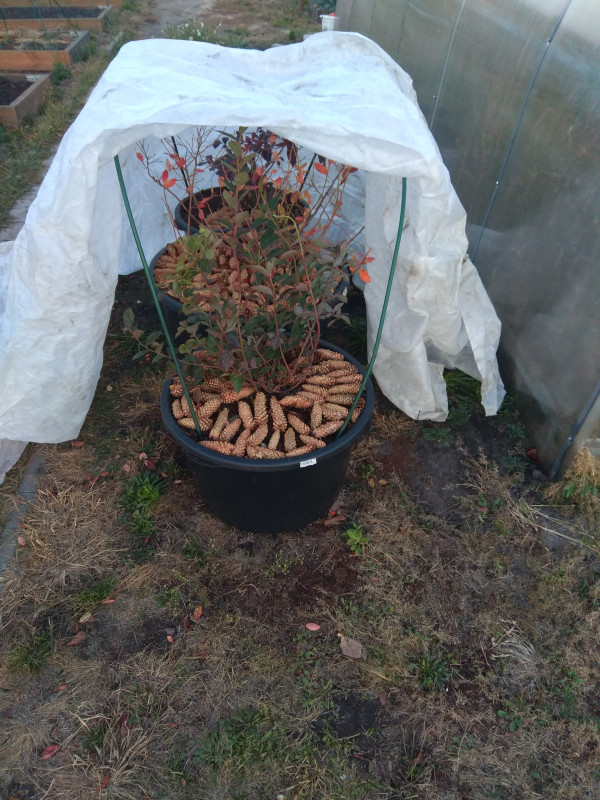 IMG_20201020_165239.jpg
