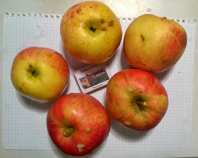 WP_20201022_19_53_44_Pro.jpg