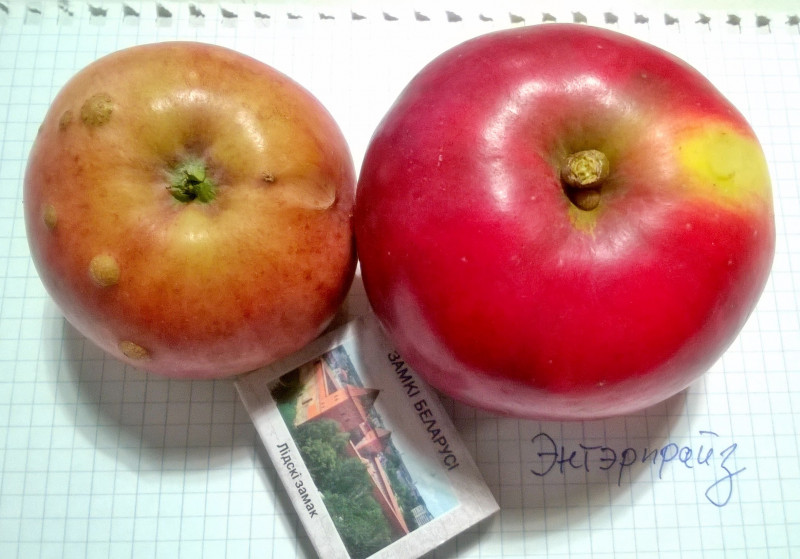 WP_20201022_19_47_15_Pro.jpg