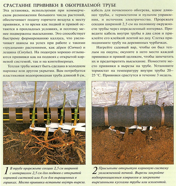 ch07_09.jpg