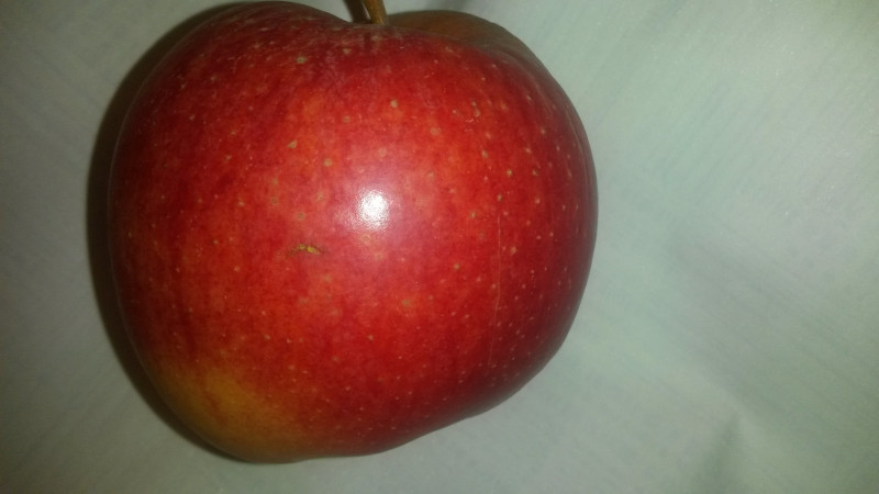 20201026_134711.jpg