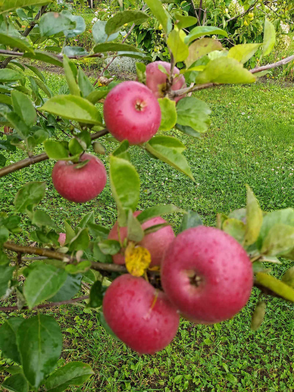РК_2020-09-30.jpg