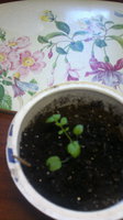 2014-03-31-1270.jpg