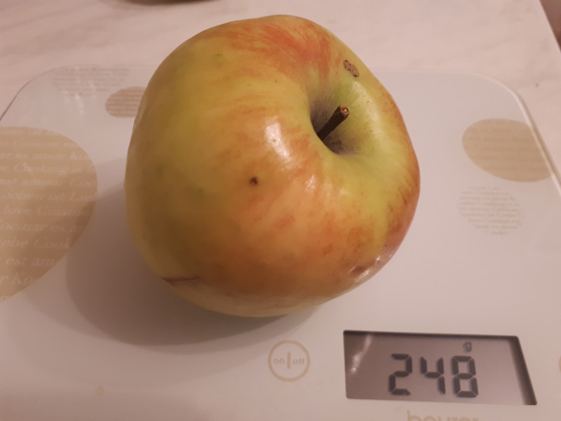 20201105_194525.jpg