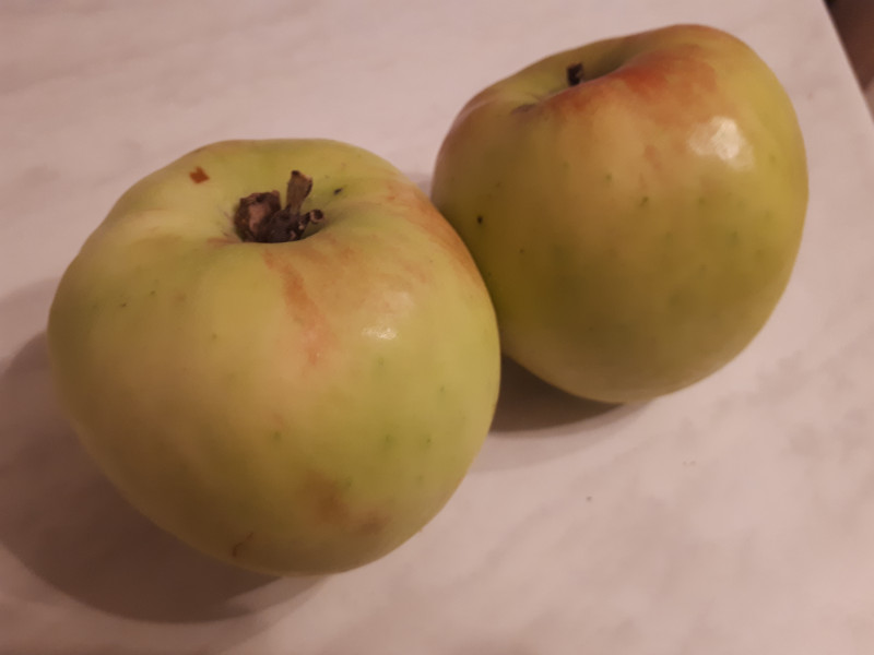 20201105_194331.jpg