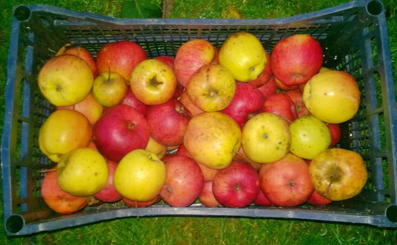 WP_20201109_17_41_04_Pro.jpg