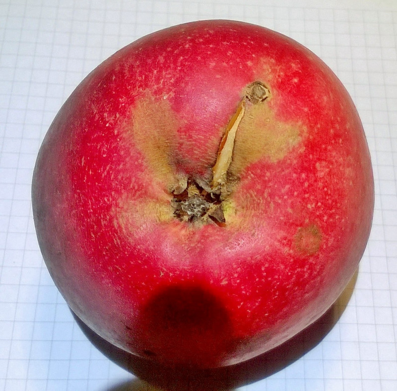 WP_20201111_19_03_45_Pro.jpg
