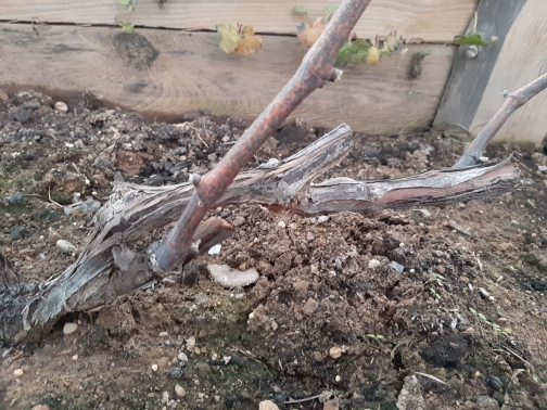 20201112_161009.jpg