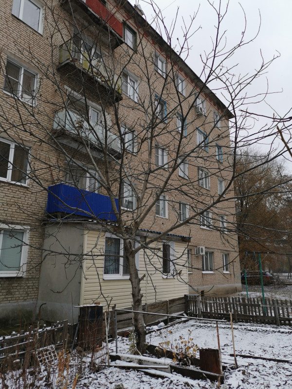 IMG_20201115_150215.jpg