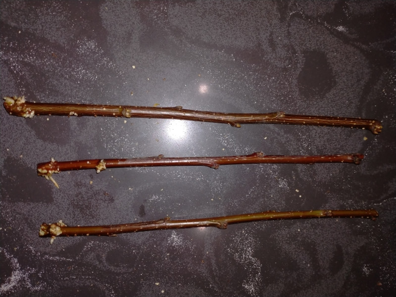 IMG20201122145612.jpg