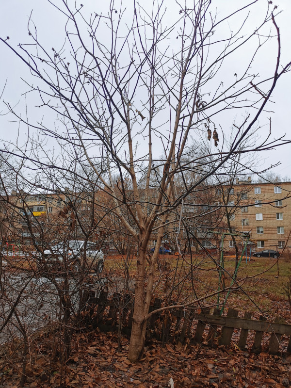 IMG_20201126_105350.jpg