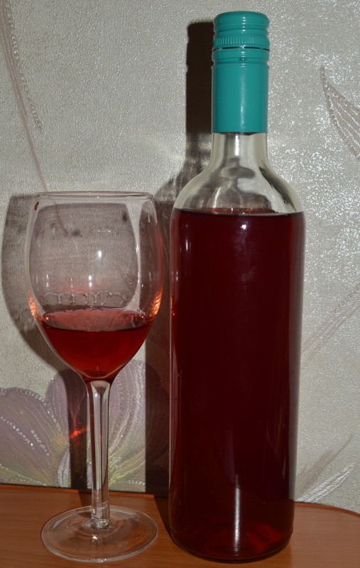 DSC_0880.JPG