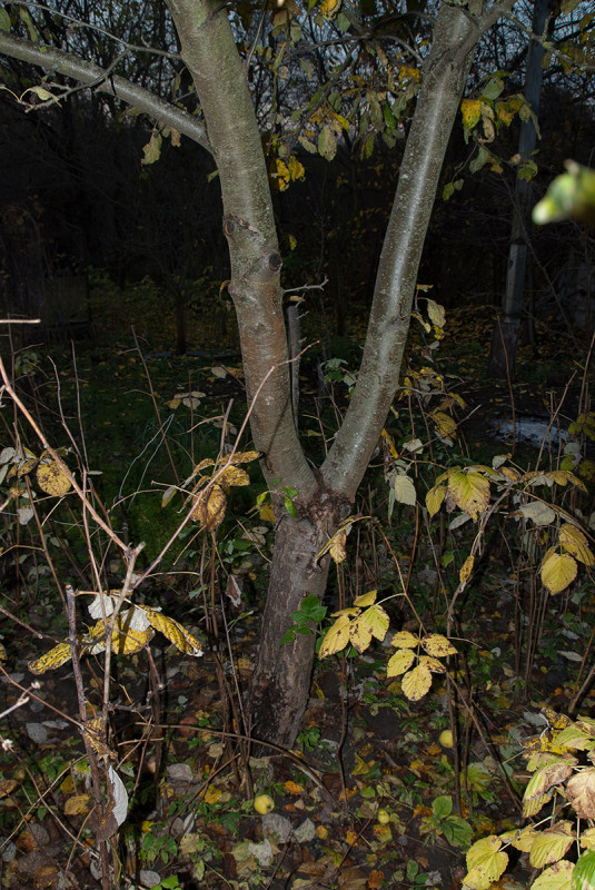 DSC_1397у.jpg