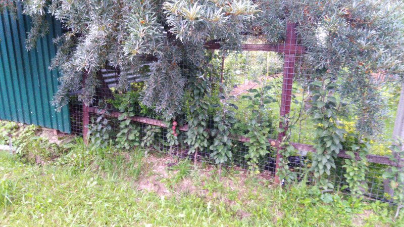 IMG-20190807-WA0006.jpeg