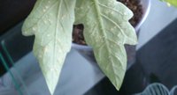 DSC_0158.jpg