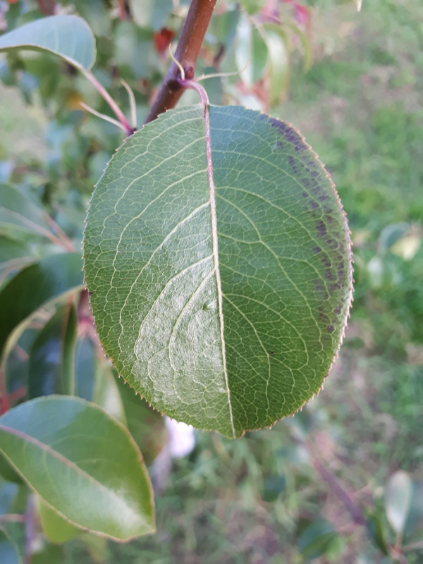 20201001_174326.jpg