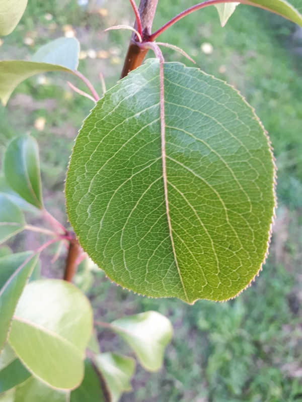 20201001_174428.jpg