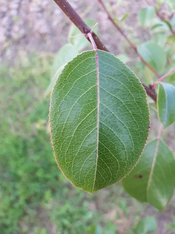 20201001_174508.jpg