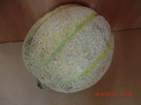 CIMG0986.JPG