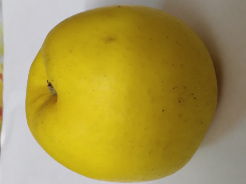 20201210_201906.jpg