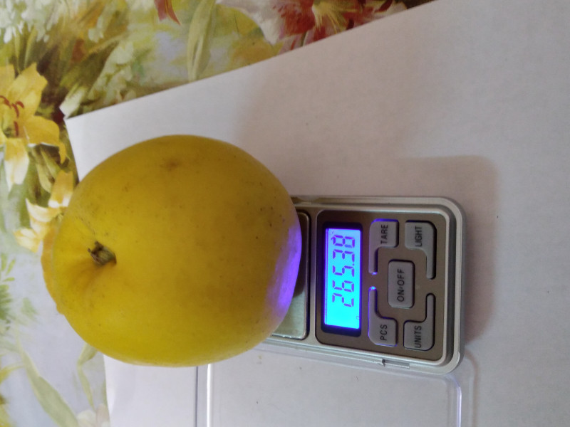 20201210_202115.jpg