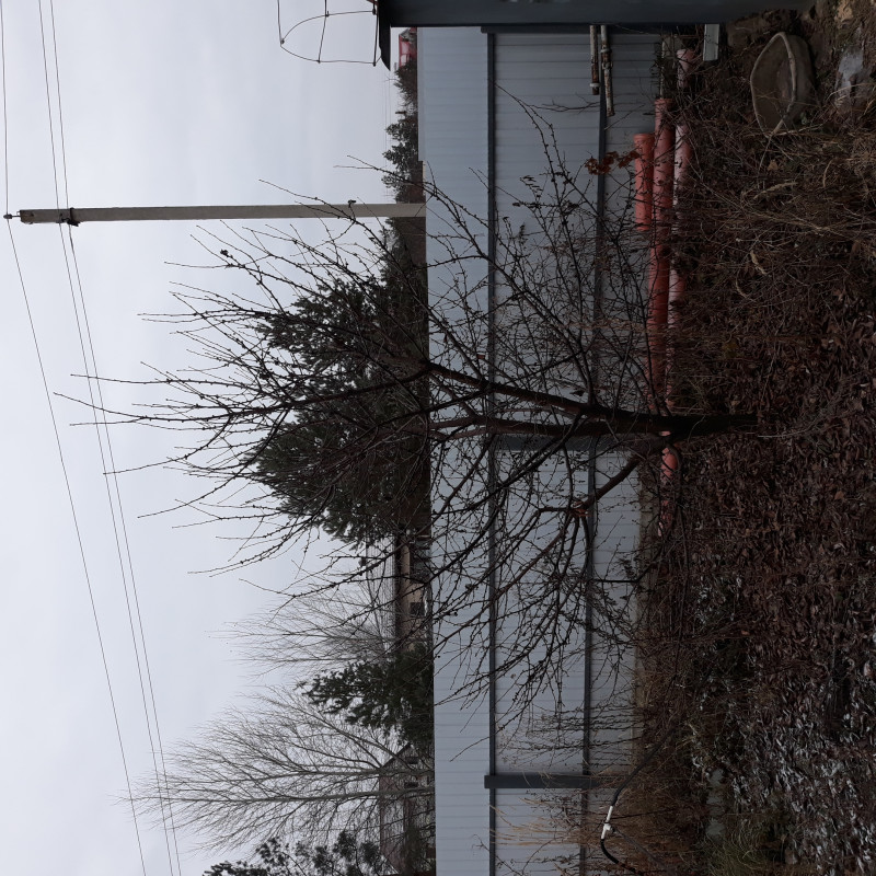 20201212_105821.jpg
