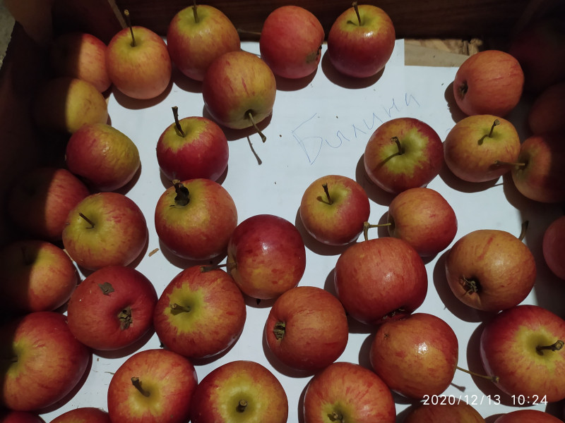 IMG_20201213_102438с.jpg