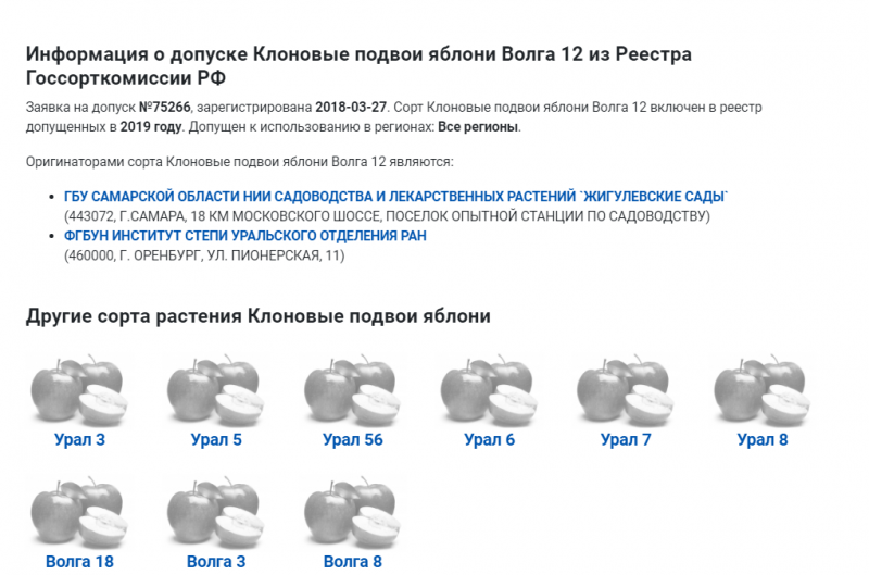 Подвой Волга.PNG