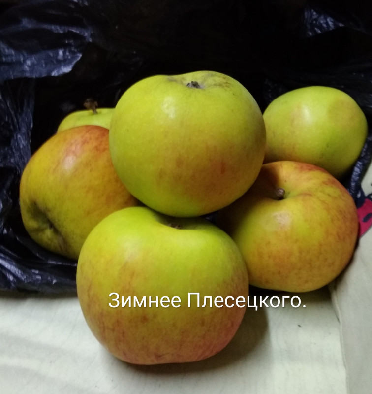 IMG_20201218_153424.jpg