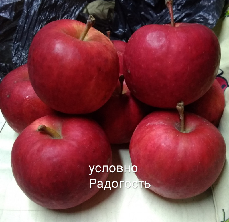 IMG_20201218_153800.jpg