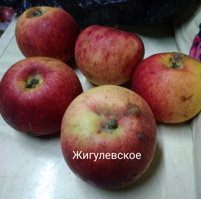IMG_20201218_152940.jpg