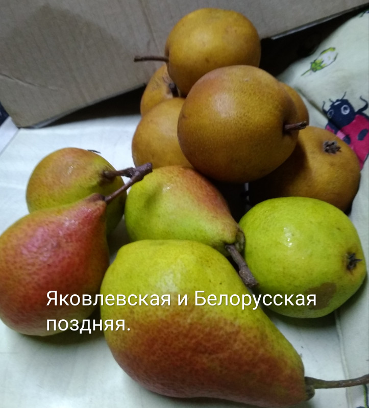 IMG_20201218_154147.jpg
