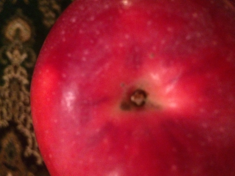 AF2399BA-848E-4828-9600-EC1DD028E266.jpeg